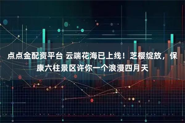 点点金配资平台 云端花海已上线！芝樱绽放，保康六柱景区许你一个浪漫四月天