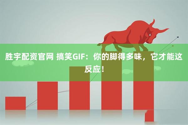 胜宇配资官网 搞笑GIF：你的脚得多味，它才能这反应！