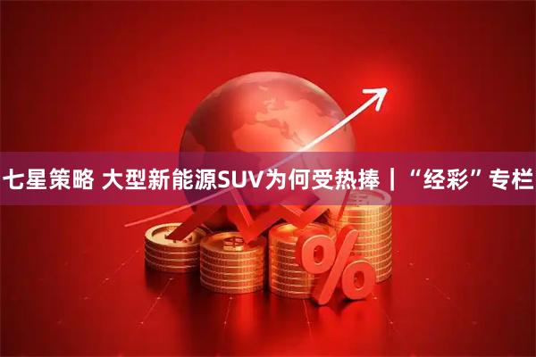 七星策略 大型新能源SUV为何受热捧｜“经彩”专栏