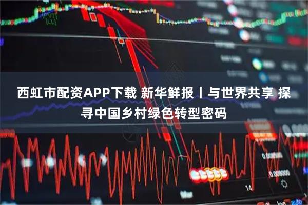 西虹市配资APP下载 新华鲜报丨与世界共享 探寻中国乡村绿色转型密码